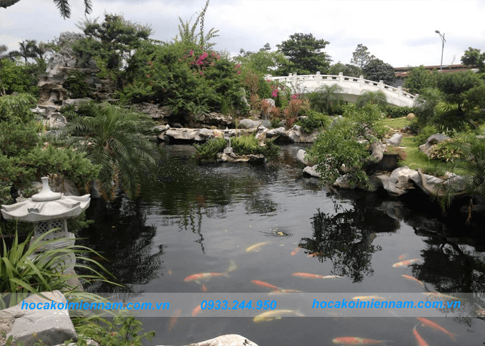 thiết kế hồ cá koi trong nhà và sân vườn: ảnh 3