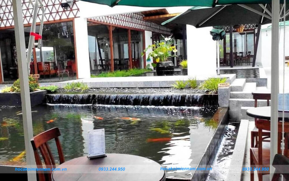 - Tư vấn Thiết kế - thi công hồ cá koi quán cà phê