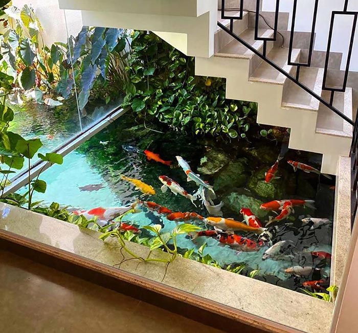 hồ cá koi gầm cầu thang trong nhà