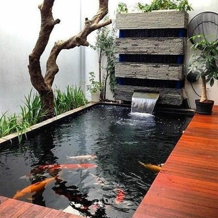Hồ cá koi mini